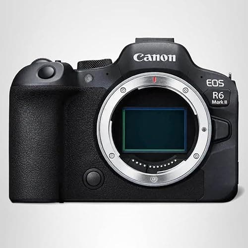 Canon EOS R6 Mark II — image 11