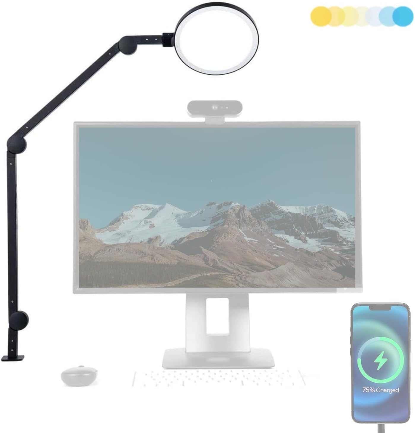 5 MUST HAVE Desk Lamps for Your Workspace 2024