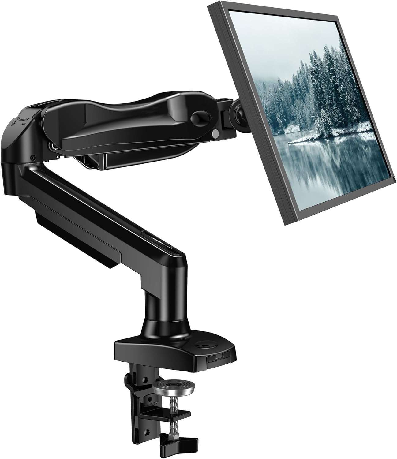 BEST Monitor Arm for 2024