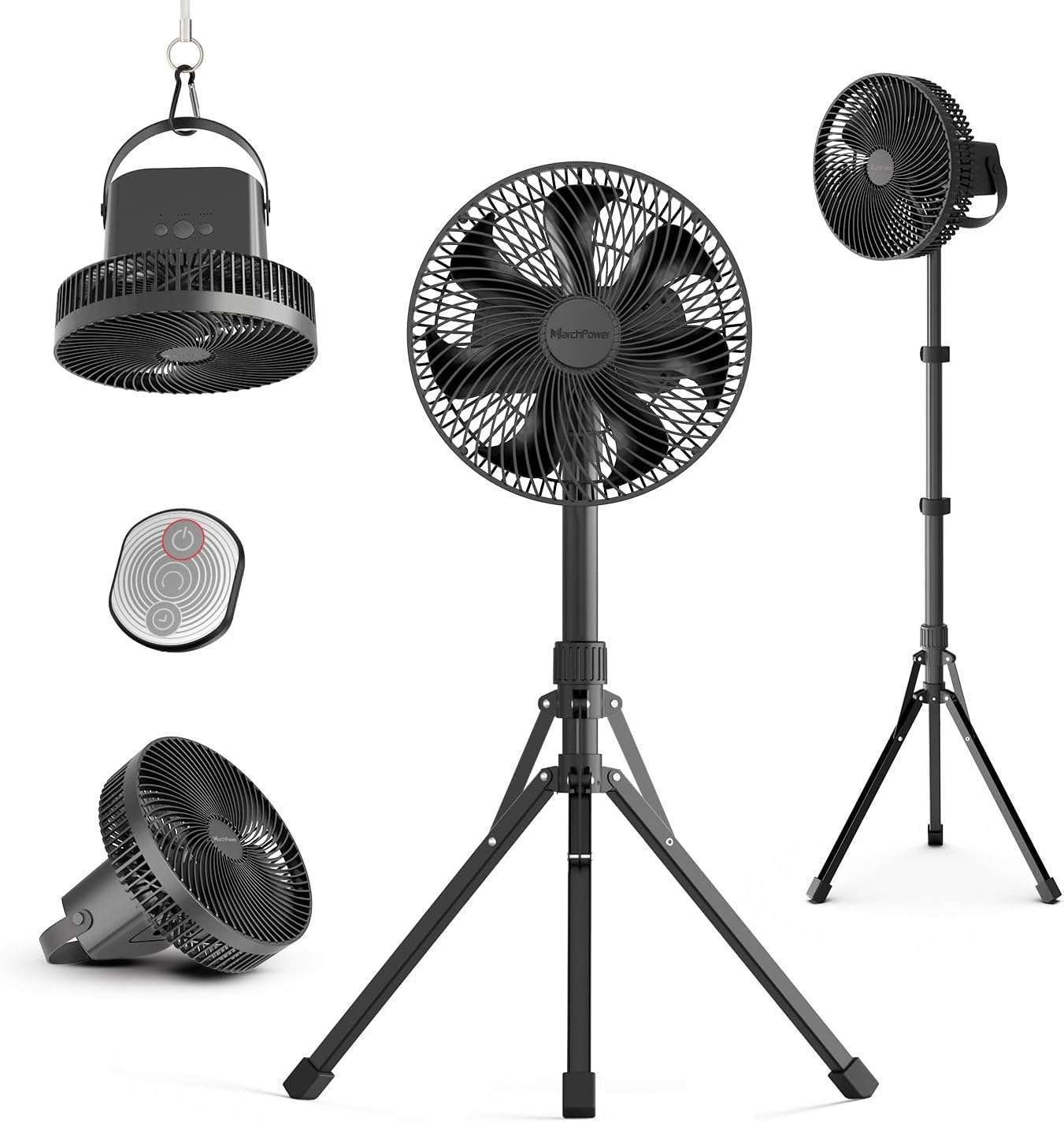 Top 5 Best Oscillating Pedestal Fan of 2024