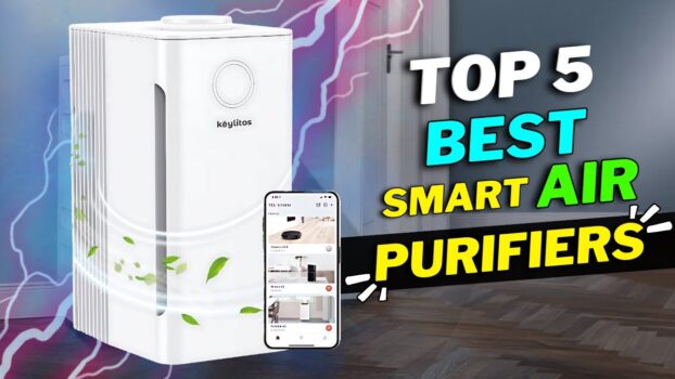 Top 5 Best Smart Air Purifiers in 2024