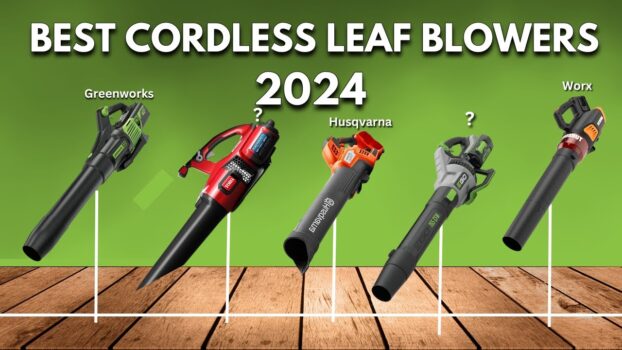 Best Cordless Leaf Blowers 2024