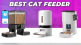 Top 5 Best Automatic Cat Feeder in 2025